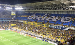 Fenerbahçe - Benfica foto galeri